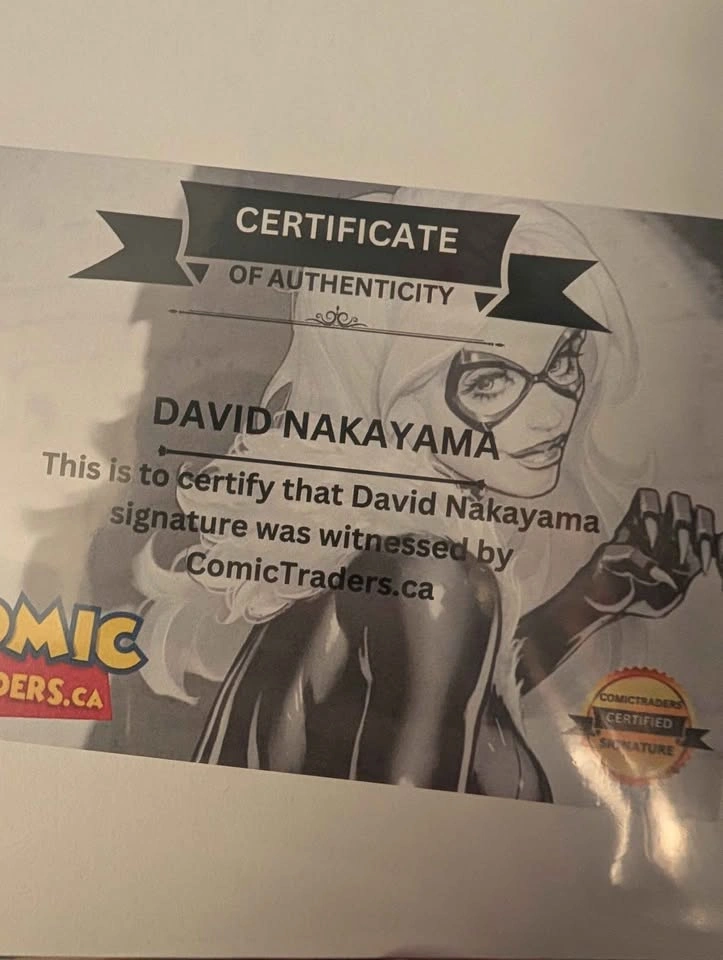 signed Absolute Batman #20 David Nakayama spot foil - photo 2