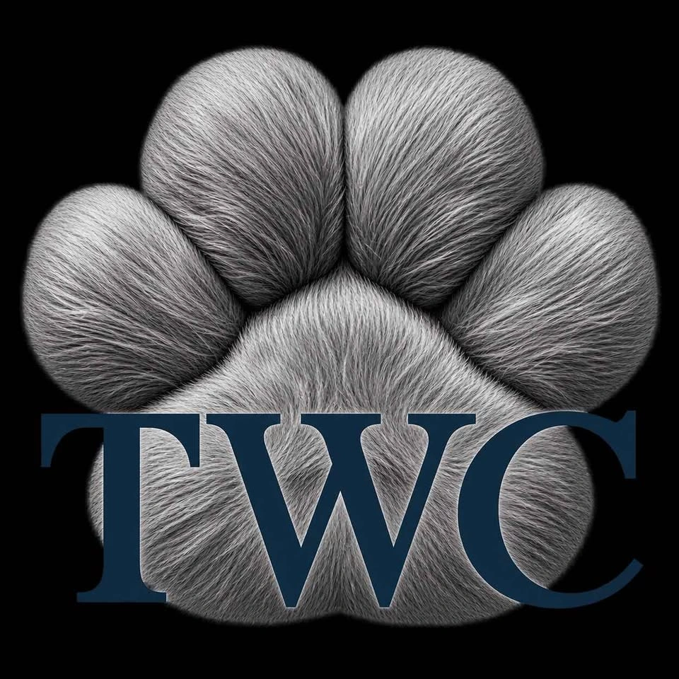 🐾 Professional Dog Grooming – East Vancouver & Surrounding Areas