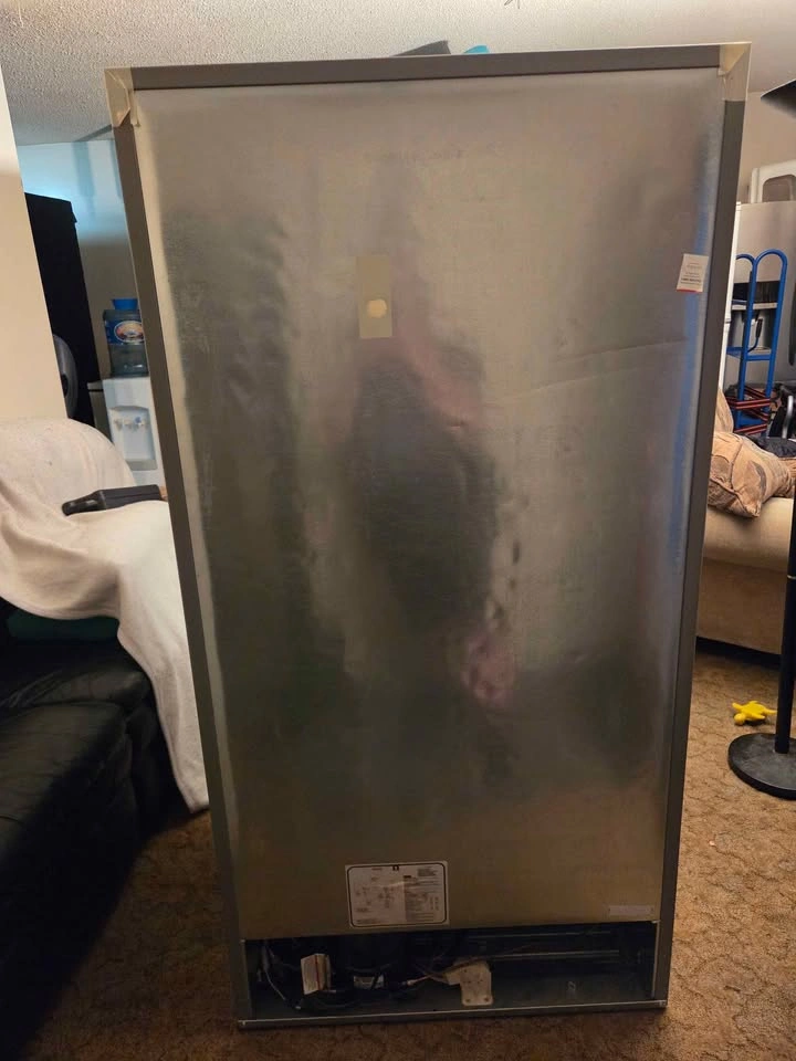 Grey Frigidaire Stand Up Freezer Delivery Available - photo 4
