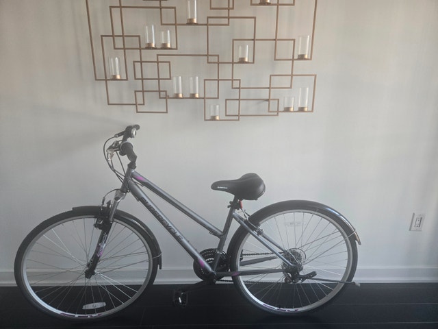 Supercycle Hybrid Bike Brand New