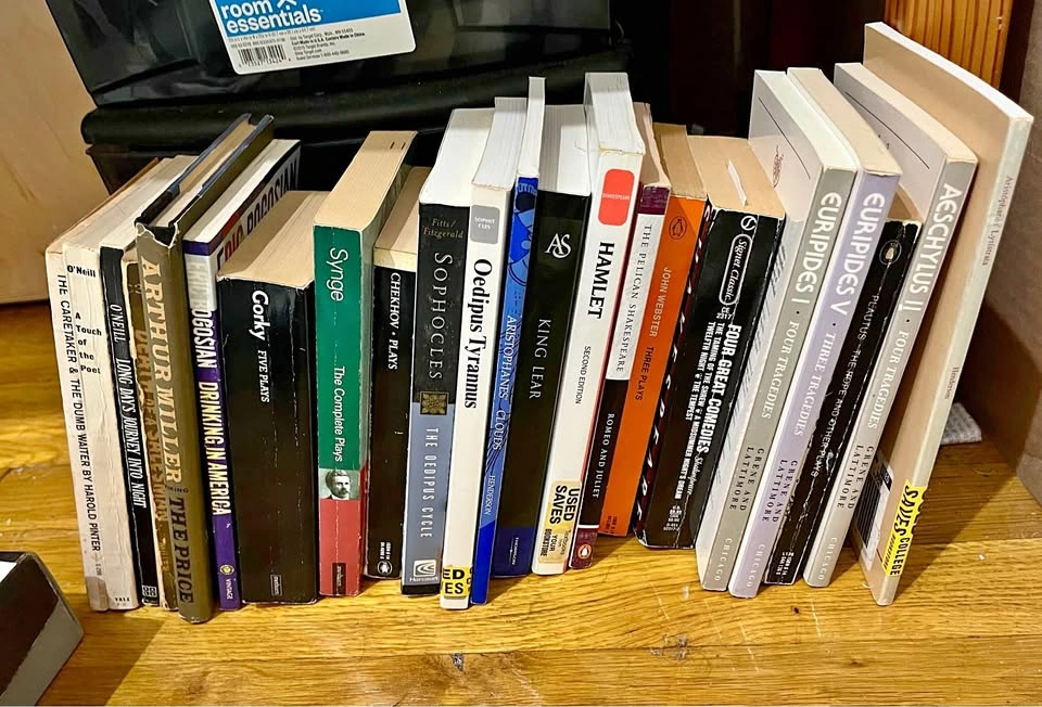 22 Classic Plays & Drama Paperback Book Lot