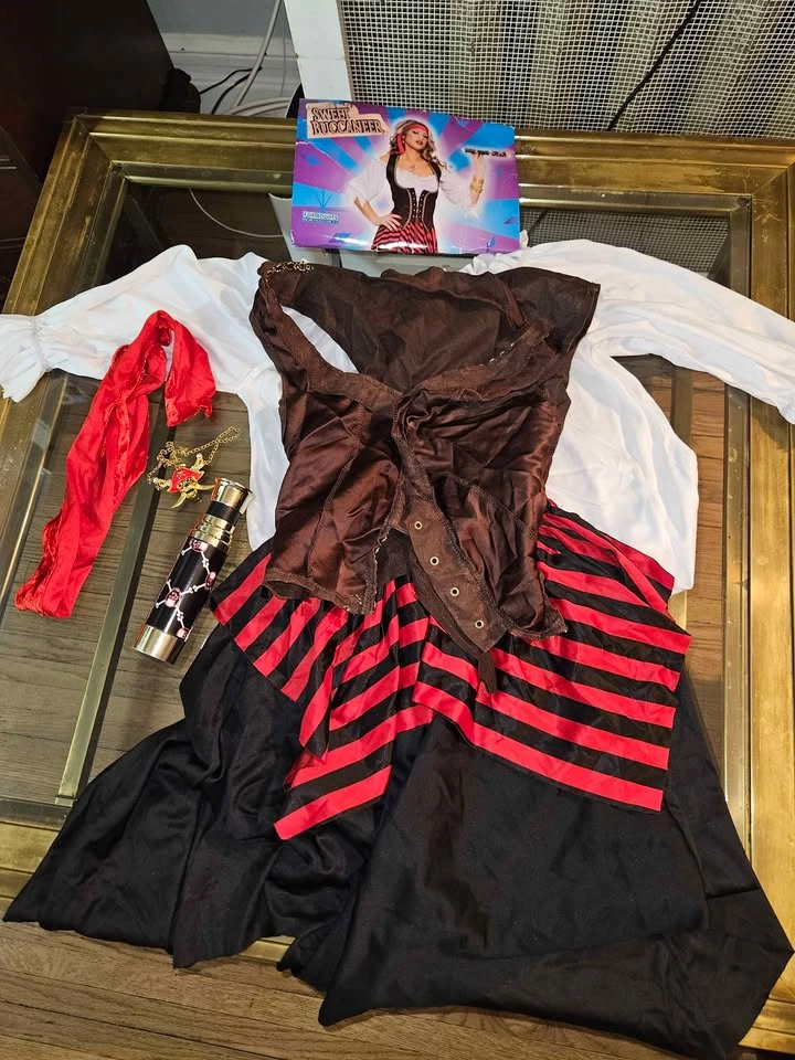 Sweet Buccaneer Adult Pirate Costume - One Size - photo 2