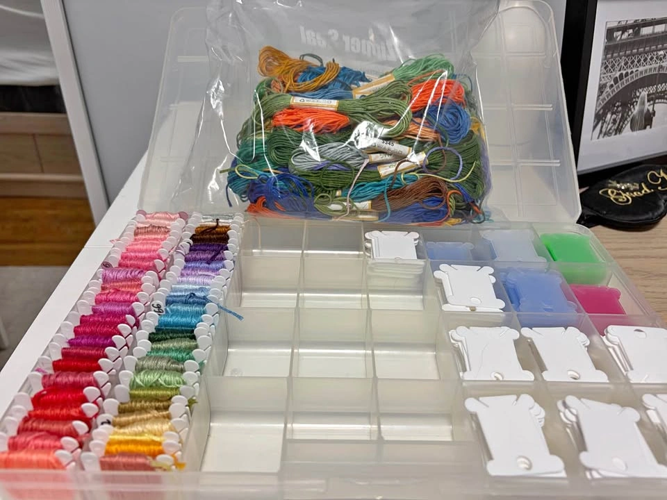 Embroidery Floss with Organizer