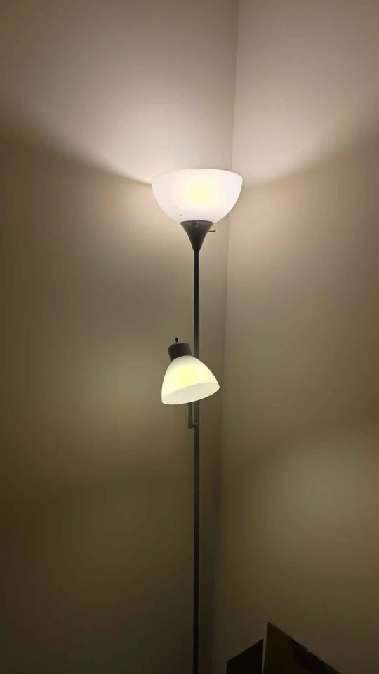 Silver Floor Lamp with Reading Light $12 each - photo 2