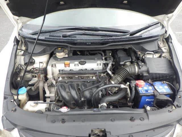 2010 Honda RB3 Odyssey Absolute - photo 5