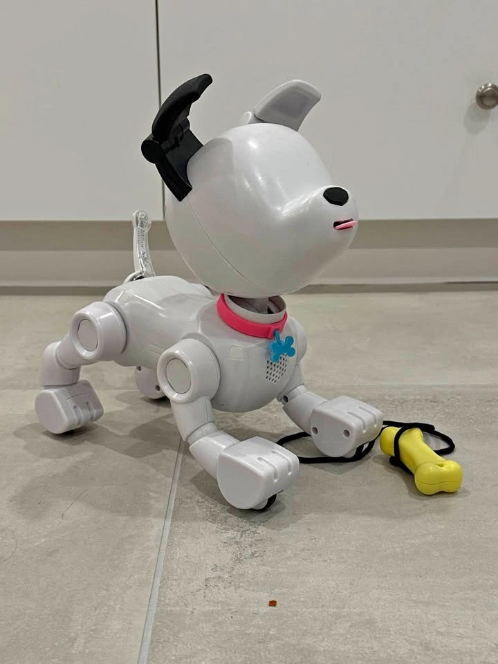 Interactive Robot Puppy Dog Toy with Bone Accessory