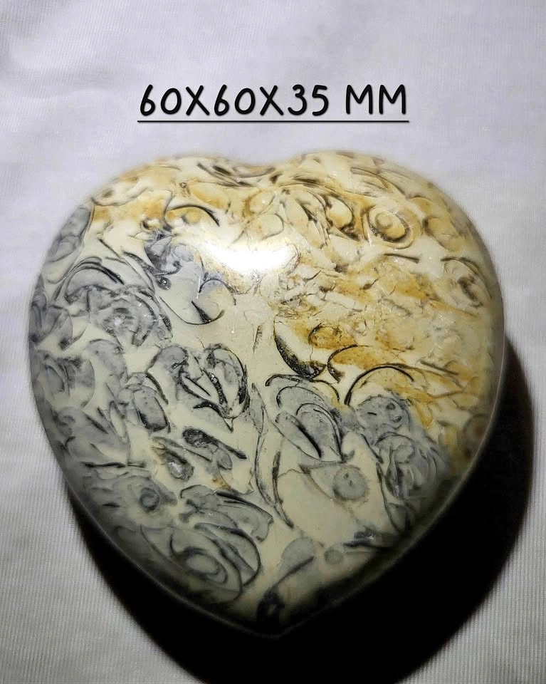 Fossil Stone Heart - crystal