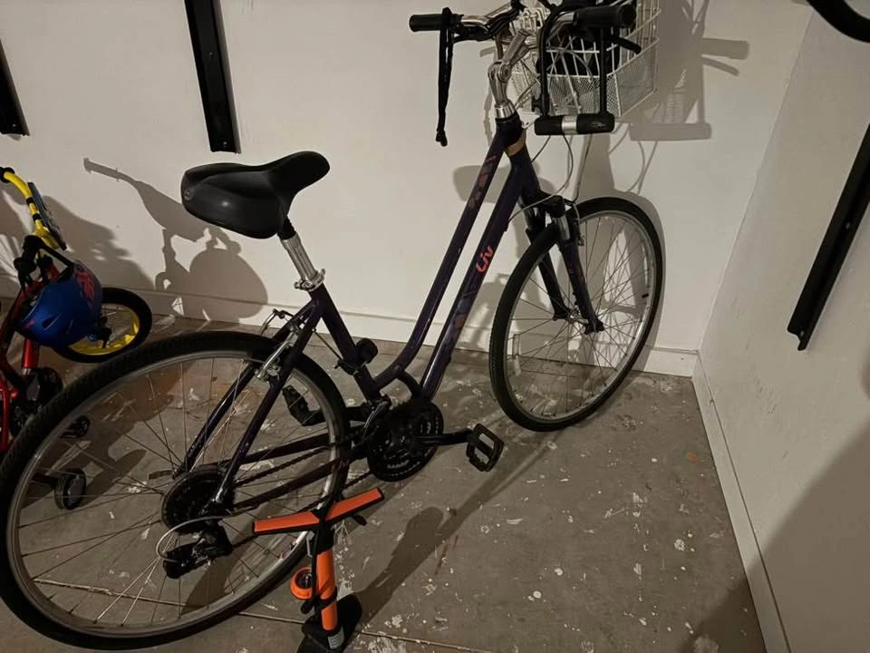 Liv Bicycle + front basket + small helmet + pump - photo 3