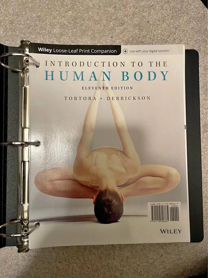 Introduction to the Human Body Eleventh Edition Tortora Derricks