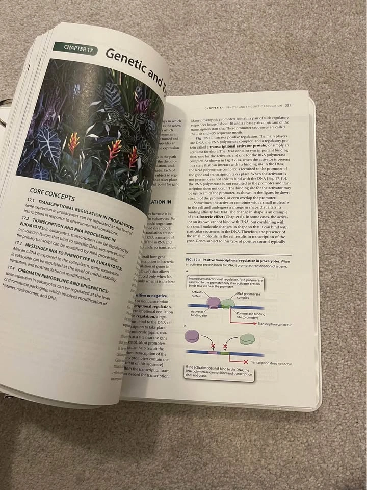 Biology How Life Works Fourth Edition Textbook - photo 2