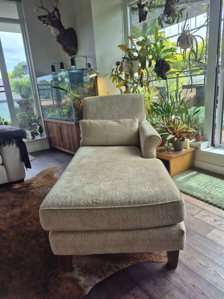Elegant Cream-coloured Mid-century Chaise Lounge / Daybed - photo 3