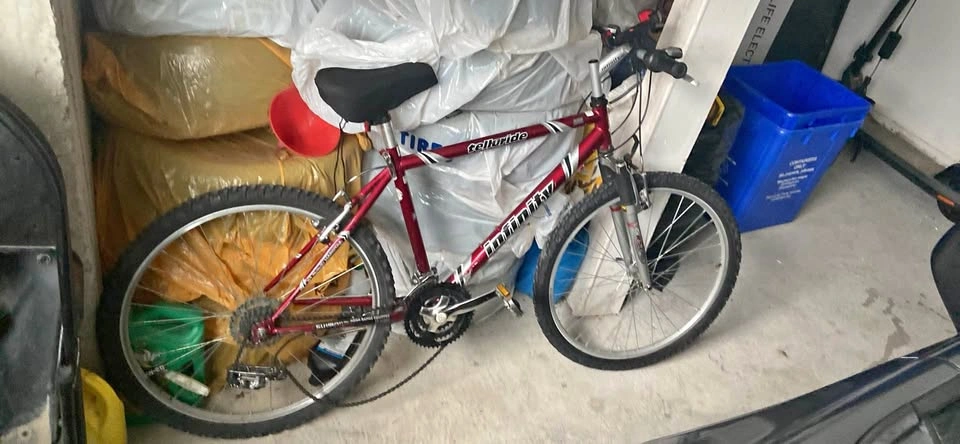 Telluride infinity mountain bike