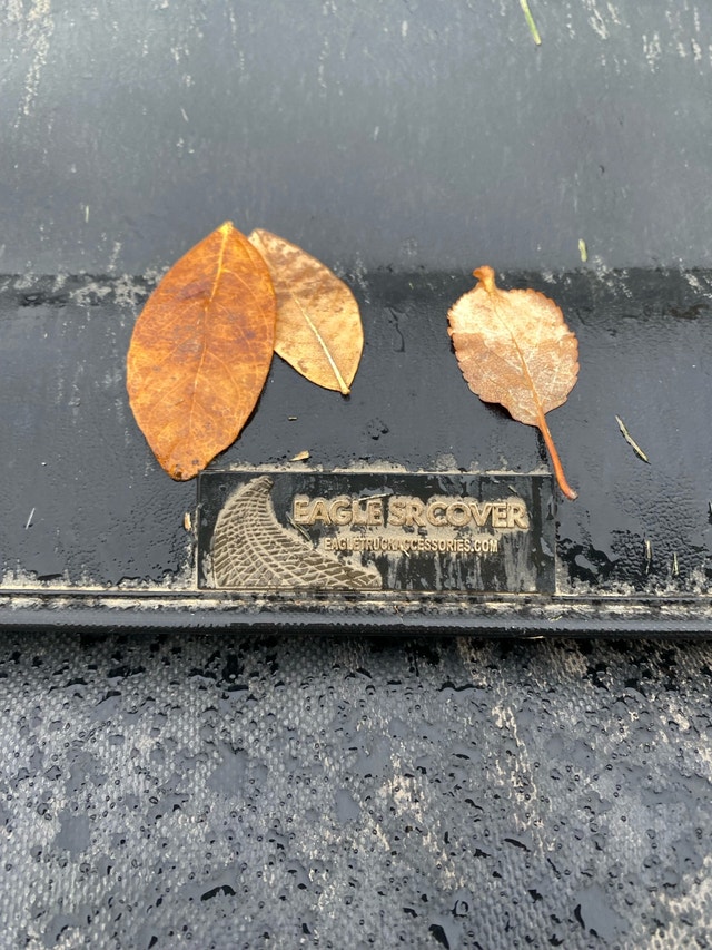 Eagle SR Soft Roll Up Tonneau Cover - Tacoma - photo 3