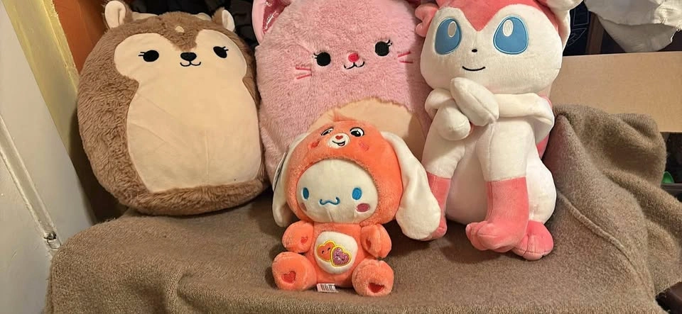 Assorted plushies 💕🧸