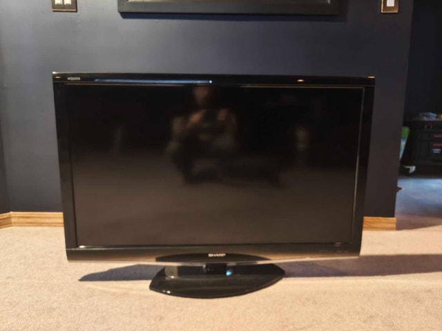 46" gaming television