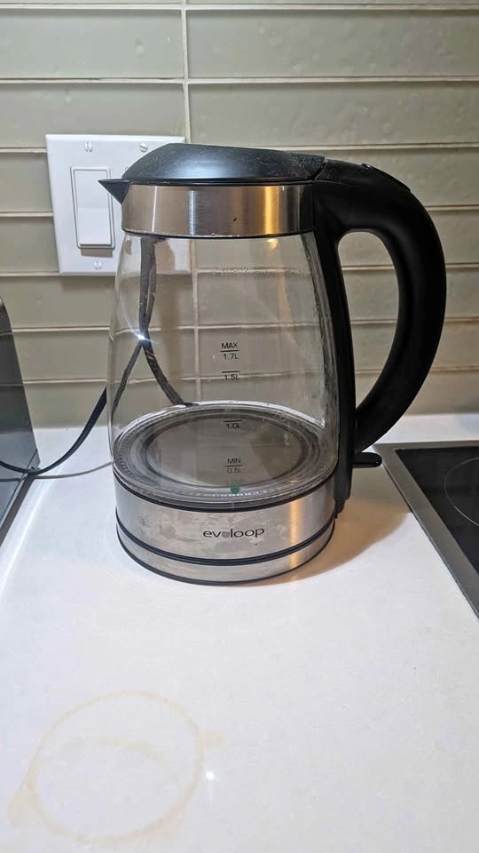 Evoloop Electric Kettle