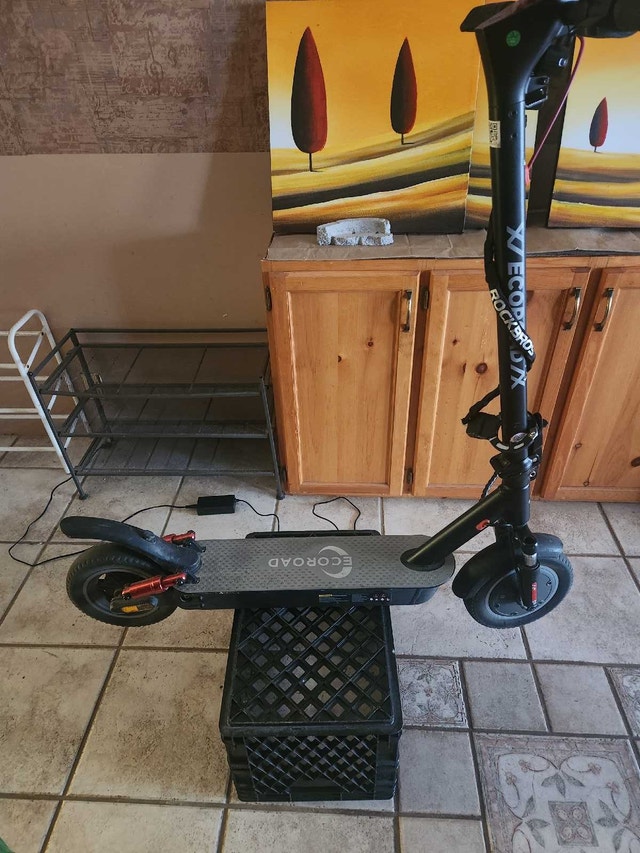 Electric Scooter for Sale