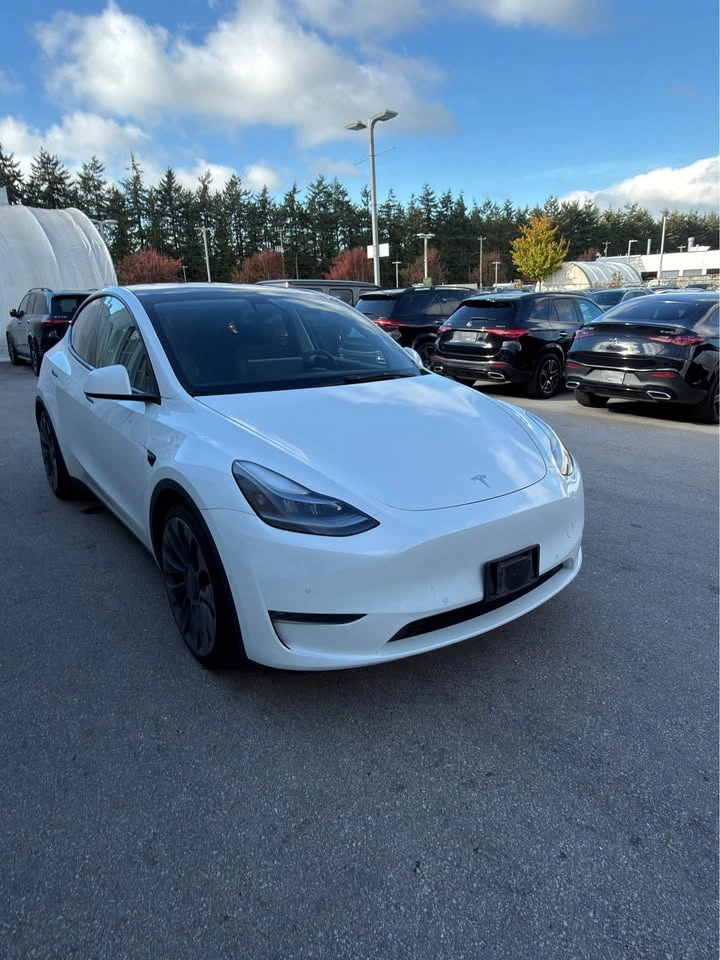 2021 Tesla model y performance - photo 3