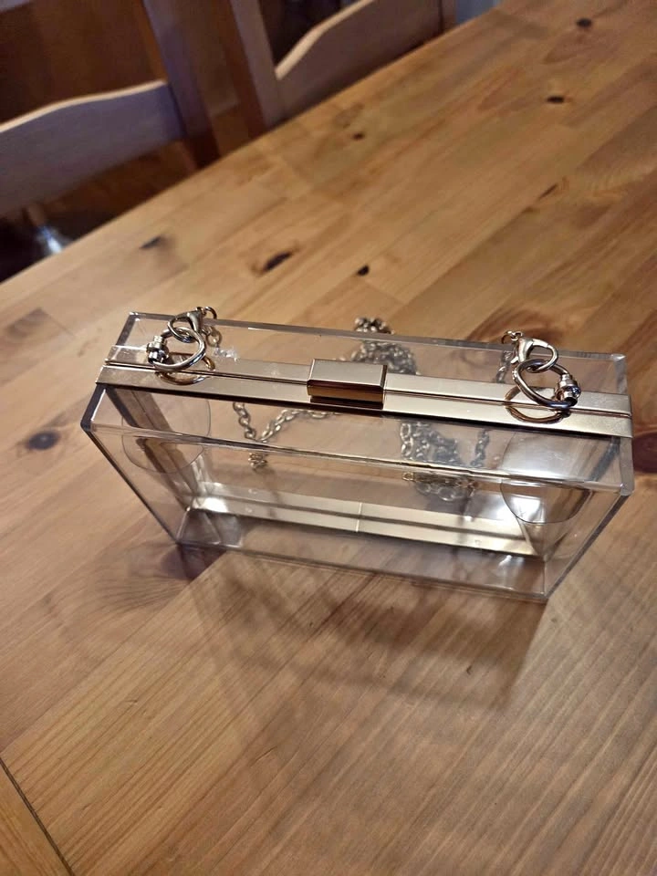 Clear Concert Purse