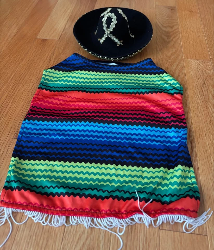 Dog Halloween Costume – Mexican Poncho & Sombrero – M/L - photo 2