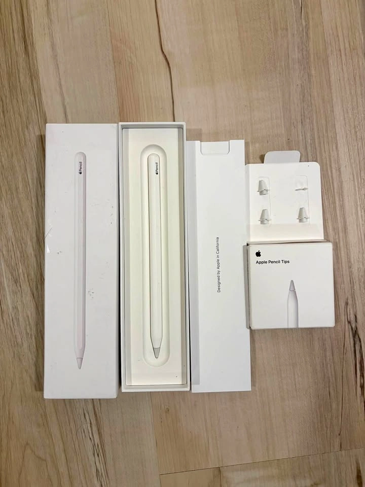 Apple Pencil (2nd Generation) with Extra Tips