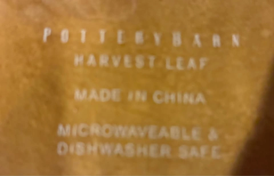 Pottery Barn Fall Harvest Leaf Ceramic Serving Platter - photo 4