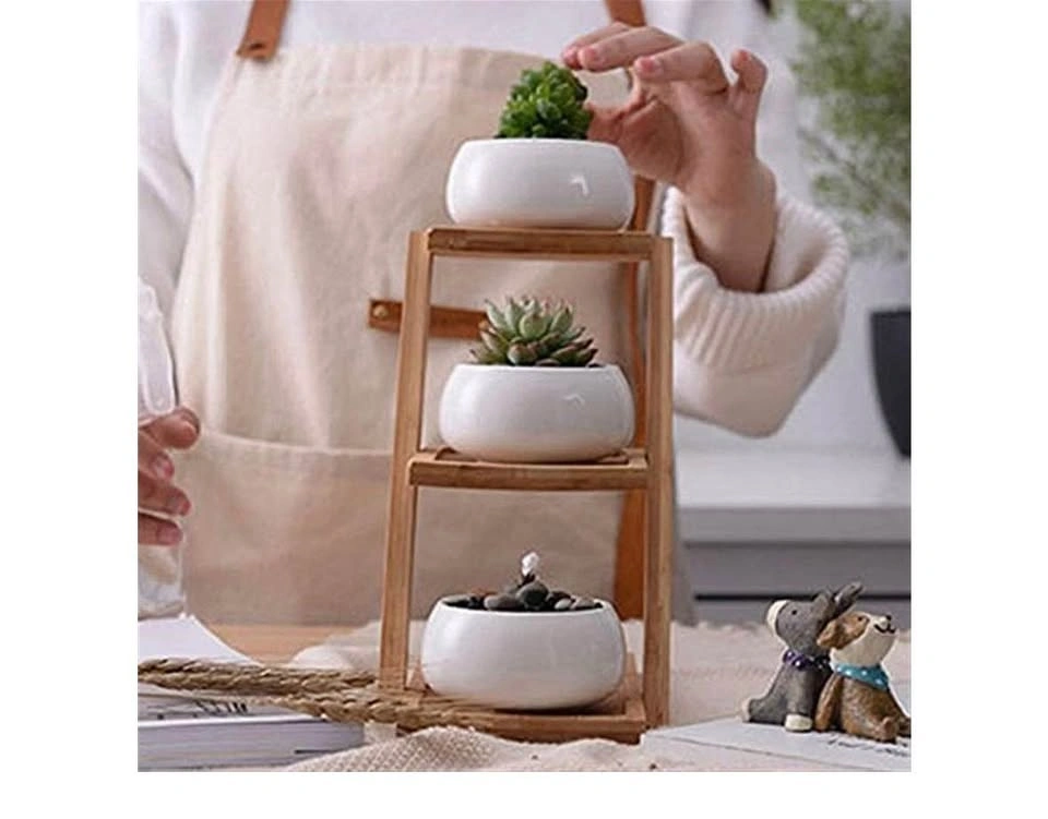 3-Tier Bamboo Succulent Plant Stand with Ceramic Pots - photo 4