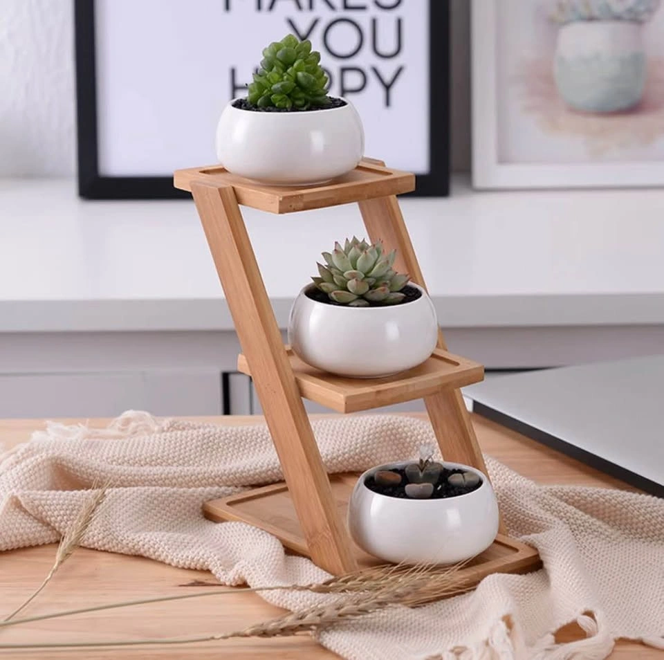 3-Tier Bamboo Succulent Plant Stand with Ceramic Pots - photo 5