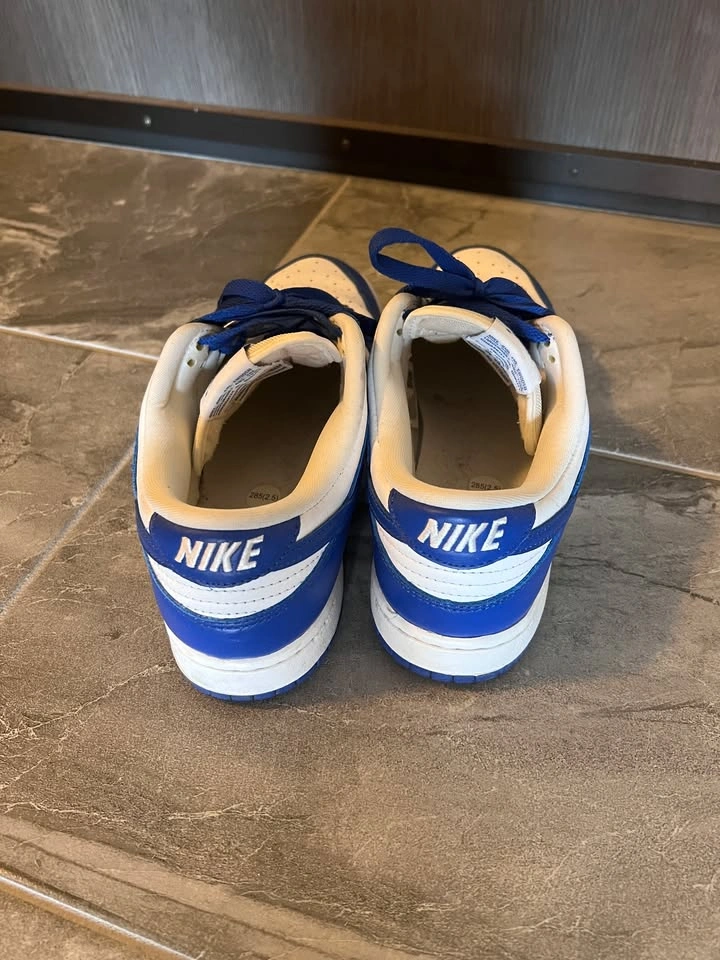 Nike Dunk Low SP Kentucky - photo 4