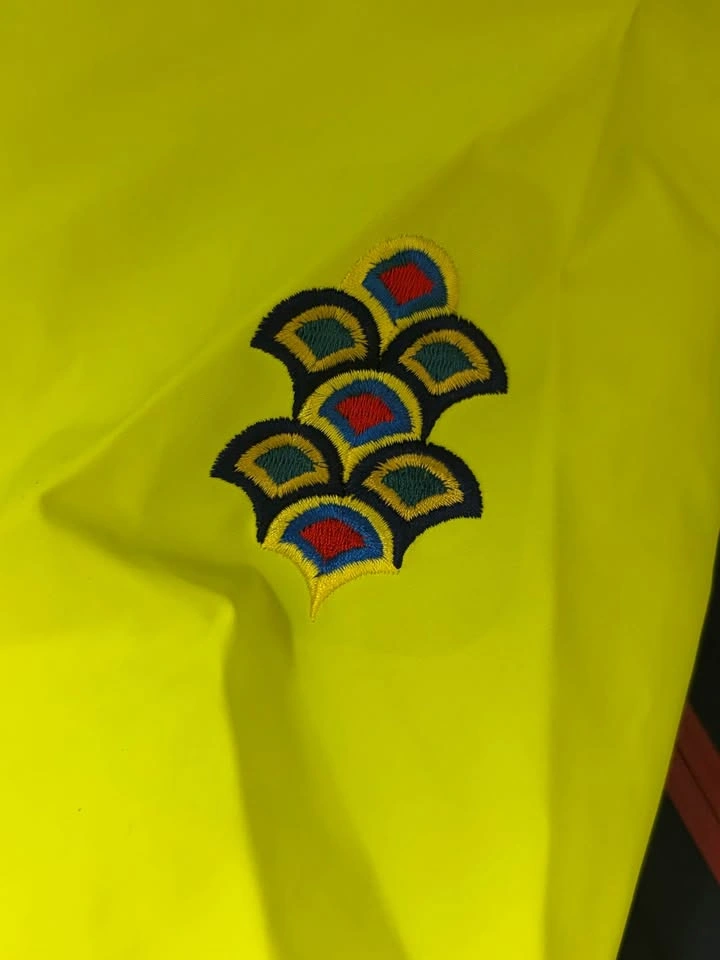 Arcteryx Alpha SV Year of The Dragon Jacket - photo 2