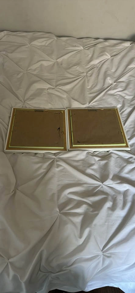 Spectrum Art Sheba Jones Framed Prints - Set of 2 - photo 2