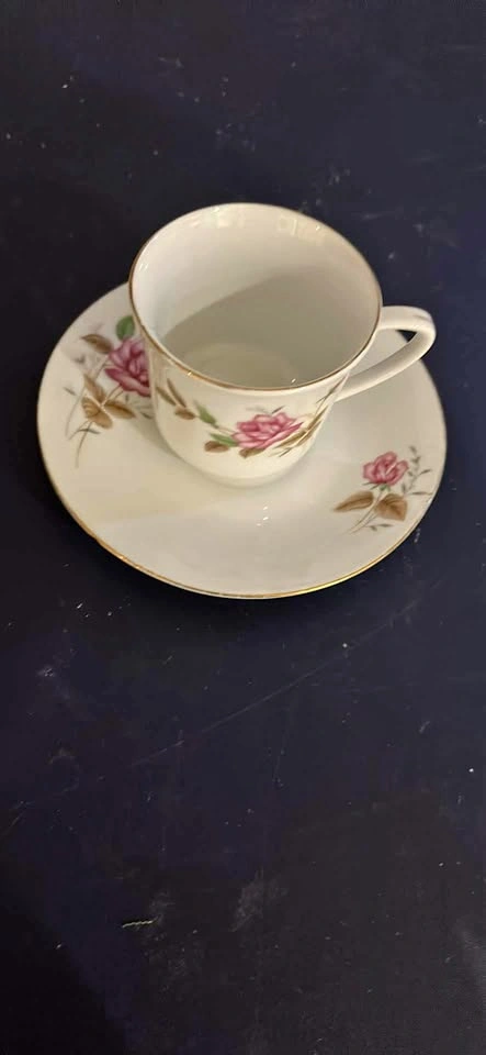 Vintage Pink Rose Porcelain Teacup and Saucer Set