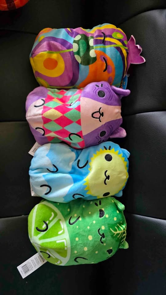 Euc pickle cat lot #2