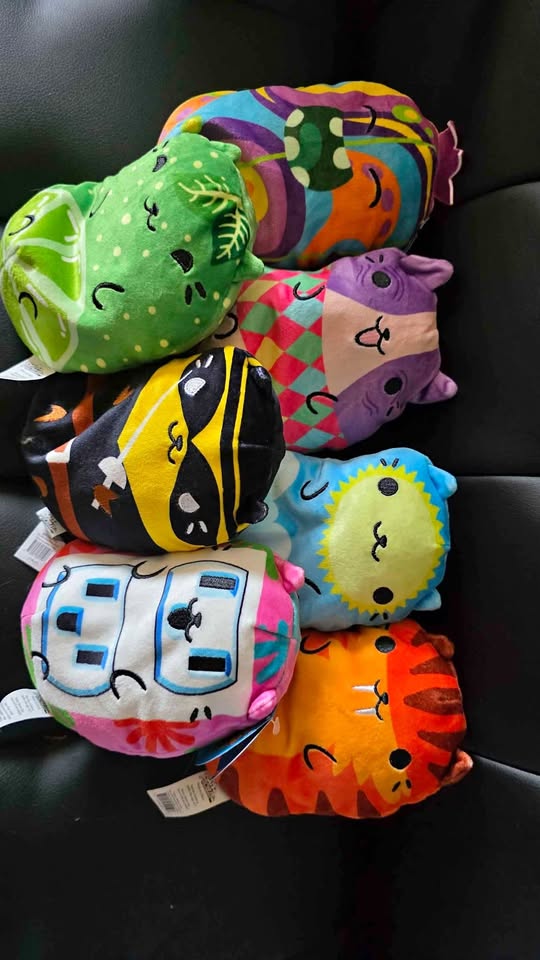 Euc pickle cat lot