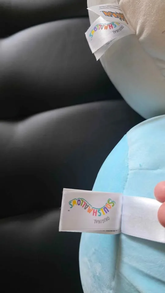 Euc pokem.o.n squishmellows image indicator(2)