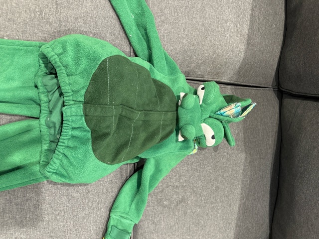 Dinosaur Costume 2/3 - photo 2