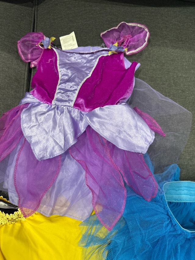 Girls Dress-Up Skirts and Costume Set - photo 2