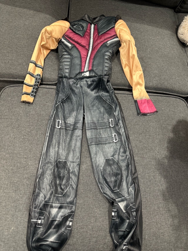 Marvel Ant-Man Costume