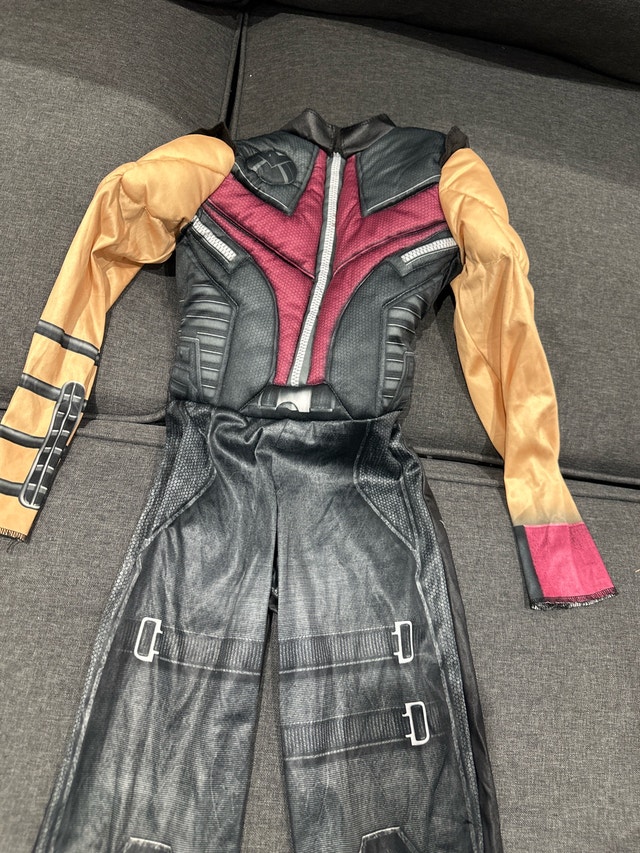 Marvel Ant-Man Costume - photo 2