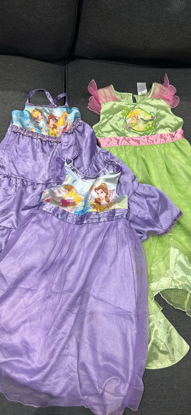 Disney Store Princess Costume Dresses
