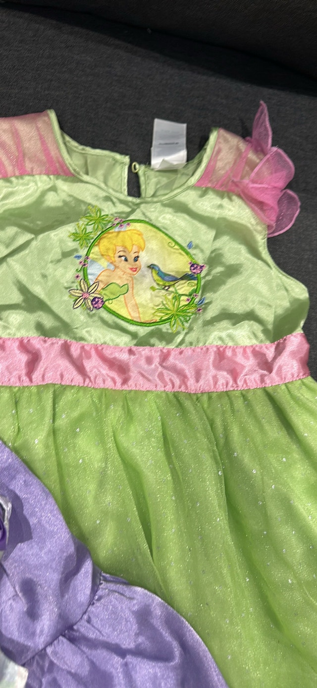 Disney Store Princess Costume Dresses - photo 3