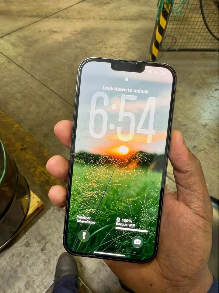 Apple iPhone 13 Pro Max