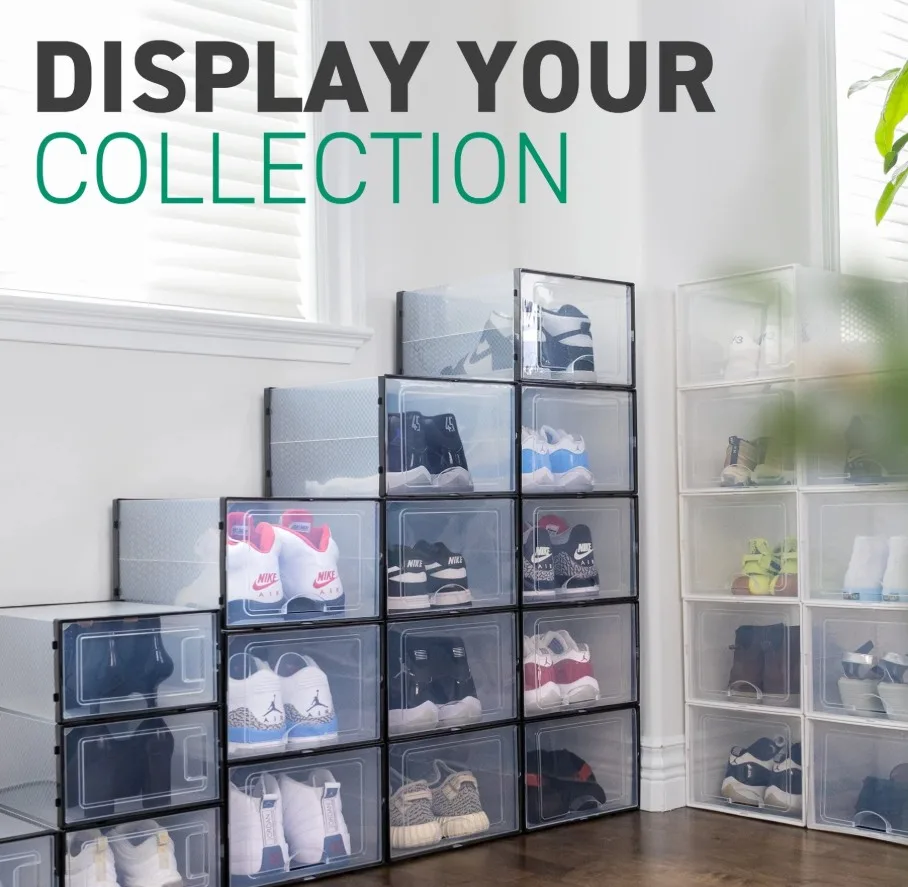 Ollie Soft Plastic Shoe Box (NEW, Open Box, 12 Pack) image indicator(3)