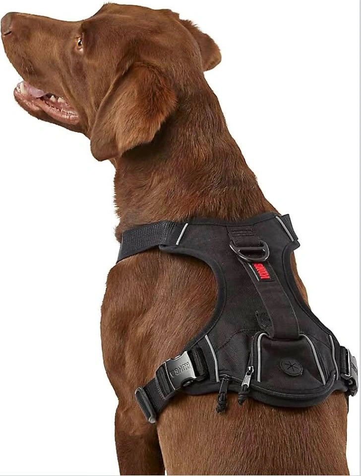 Kong Ultra Durable Waste Bag Harness