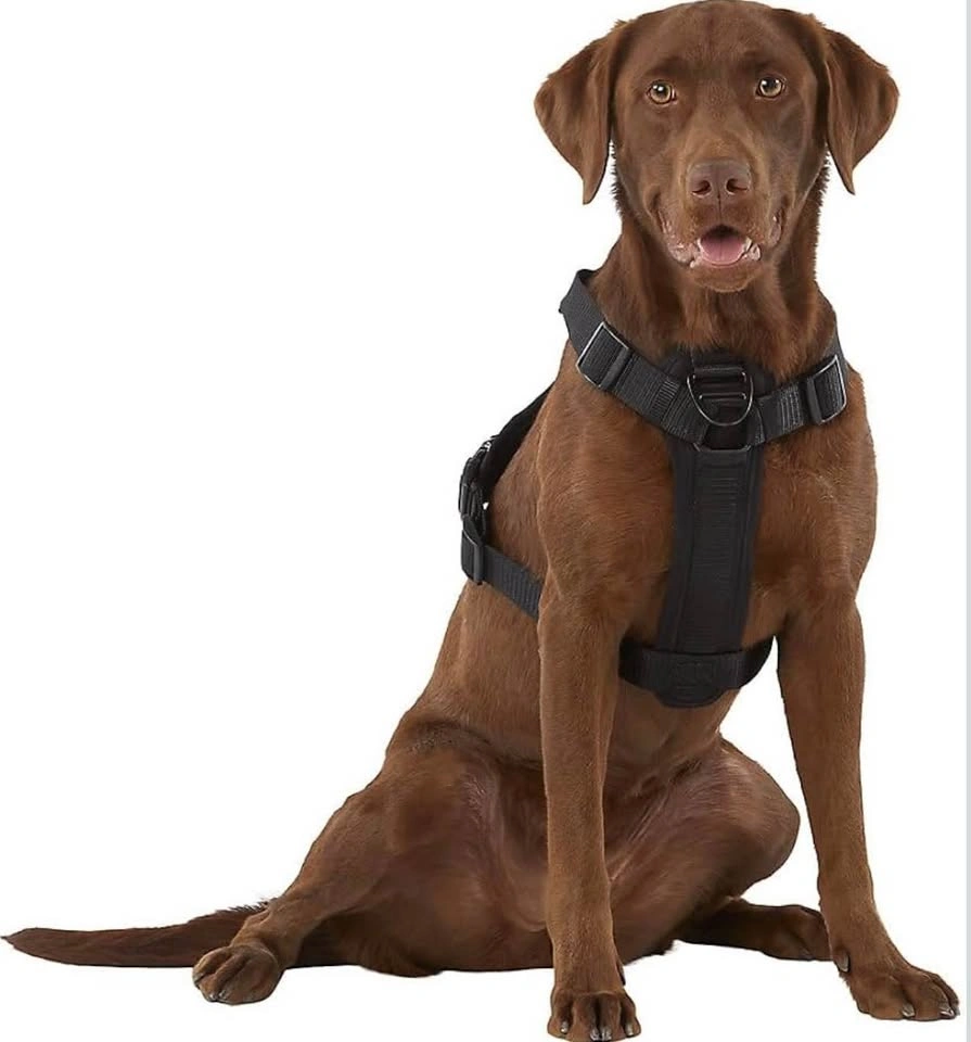 Kong Ultra Durable Waste Bag Harness - photo 3
