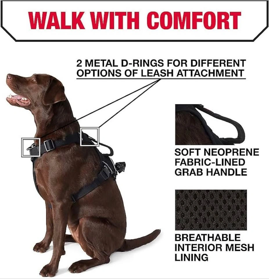 Kong Ultra Durable Waste Bag Harness - photo 5