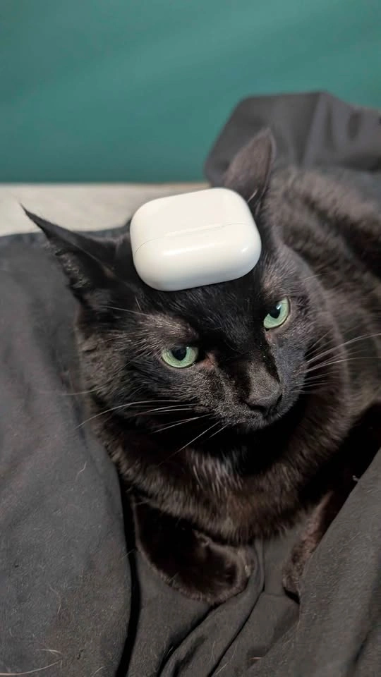 Airpods 4 - photo 5