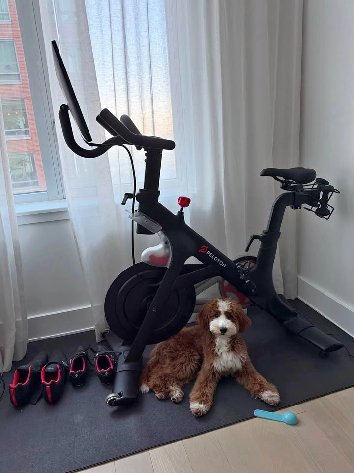 Peloton Original Bike (Gen 1, 2018) + Mat & 3 lb Weights