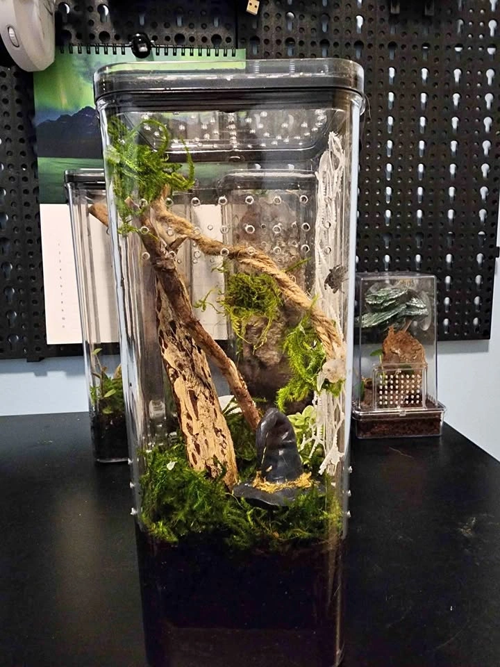 Enclosure