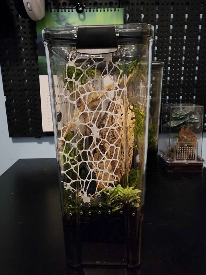 Enclosure - photo 2